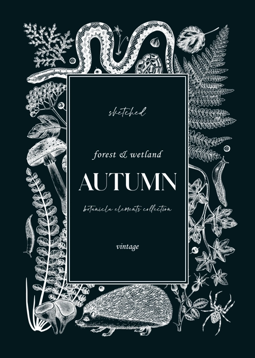 Forest frame on chalkboard. Hand-drawn autumn plants, fall leaves, mushrooms, ferns, woodland animals sketches. Decorative autumn background in vintage style for banner, print, greeting card, invite